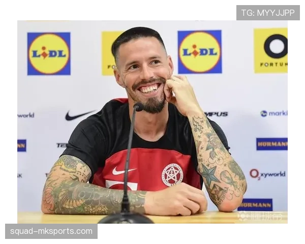 斯洛伐克哈姆希克退役